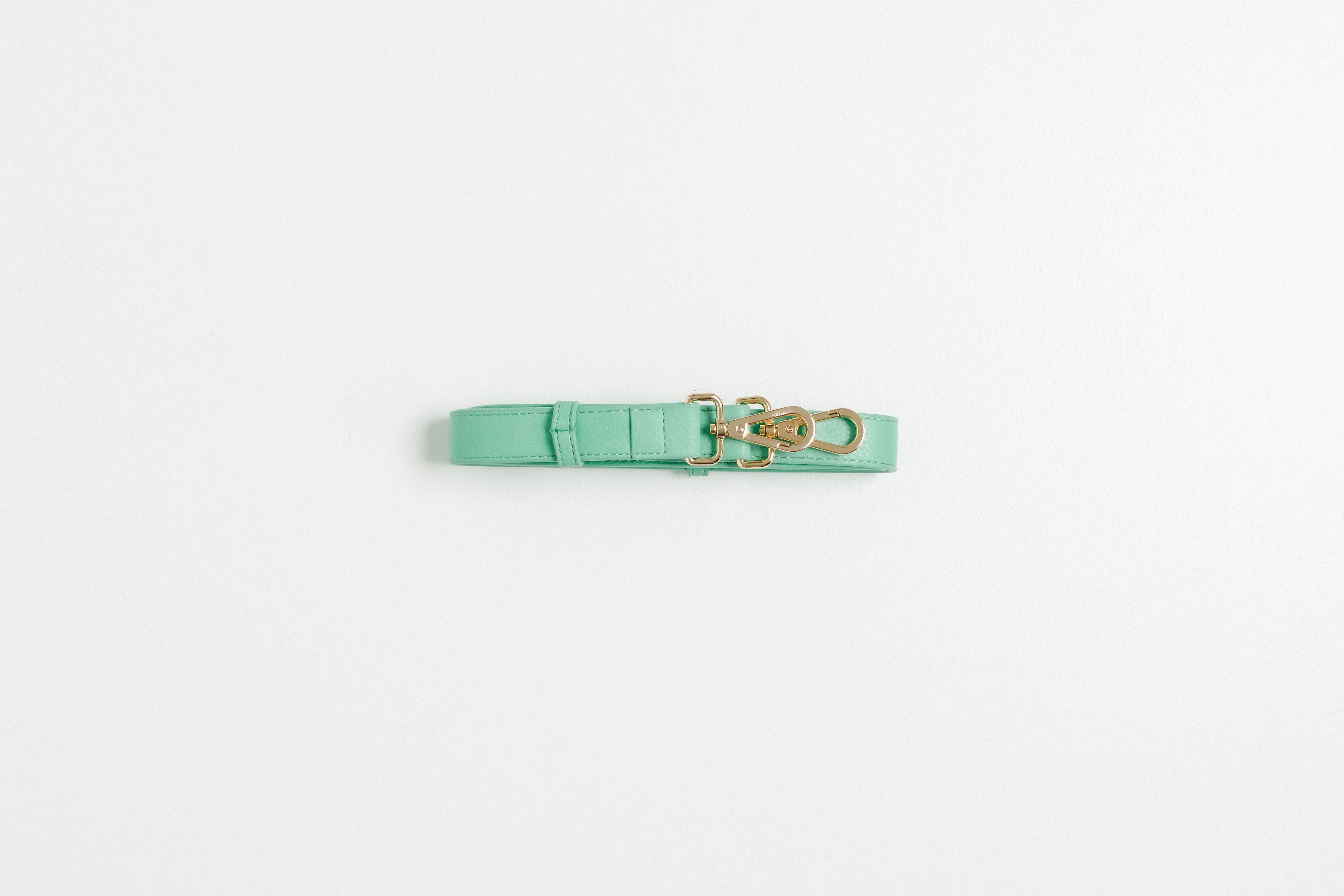 Bag Strap - Mint