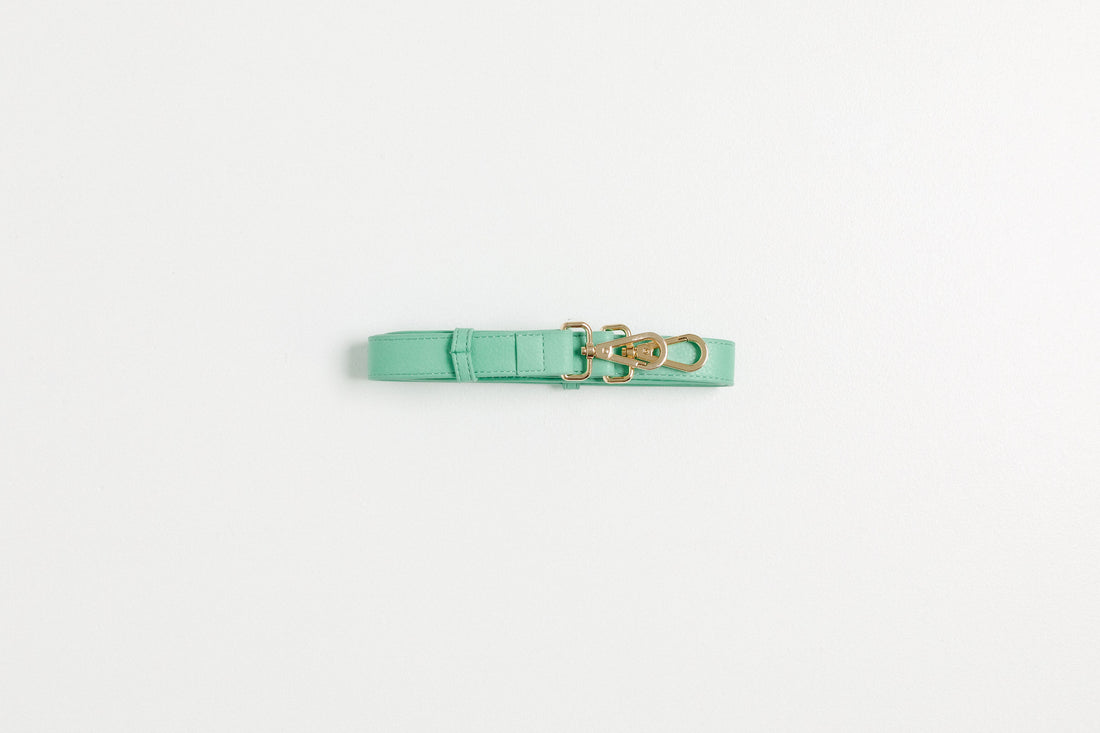 Bag Strap - Mint