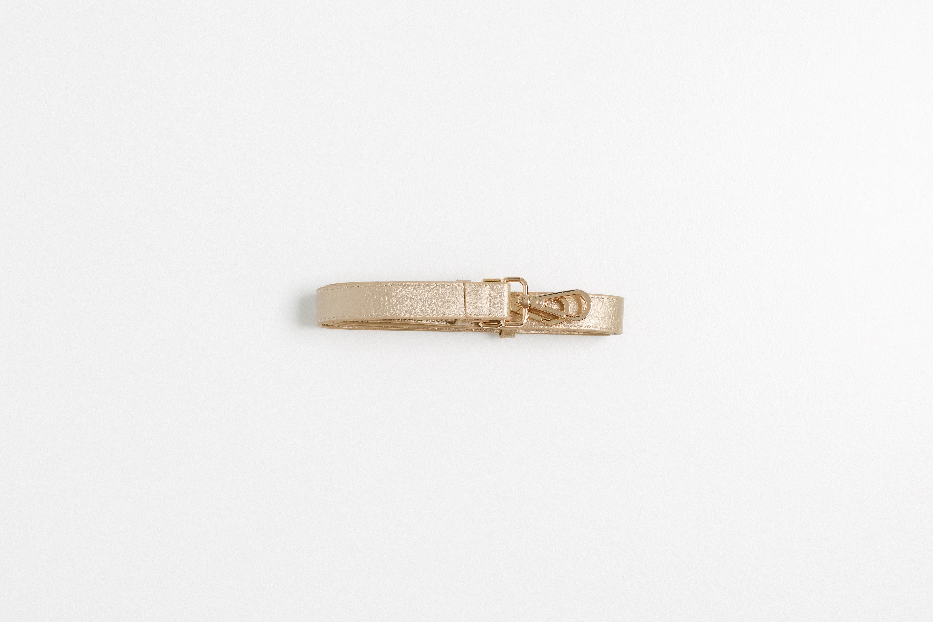 Bag Strap - Gold